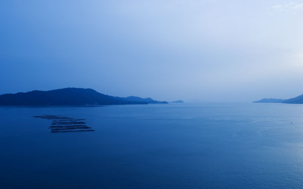 海・自然と親しむ