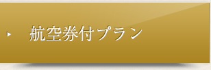 航空券付プラン