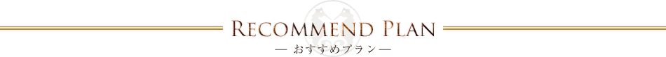Recommend Plan -߃v-