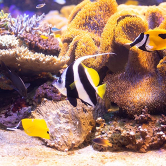 水族館